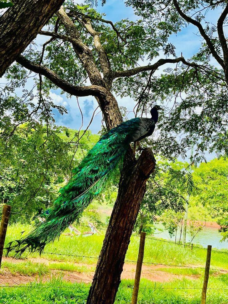 Pousada Do Lago Dutra Guapé 외부 사진